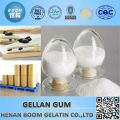 Food additive of gellan gum in polymer